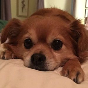 Meet your Posher, Brian